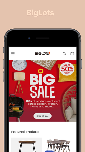 Imagen 0 para BigLots