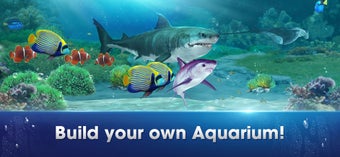 Image 0 for Fishing Strike