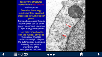 Image 3 for Histology - Basic Tissues