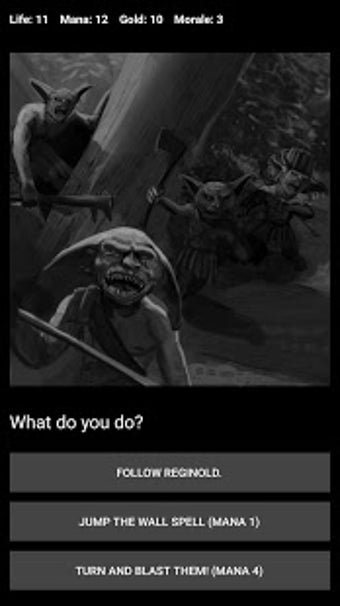 Image 1 for Wizard's Choice (Choices …