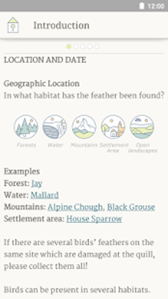 Imagen 0 para Feather Gallery