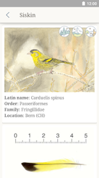 Imagen 2 para Feather Gallery
