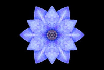 Image 6 for Meditations