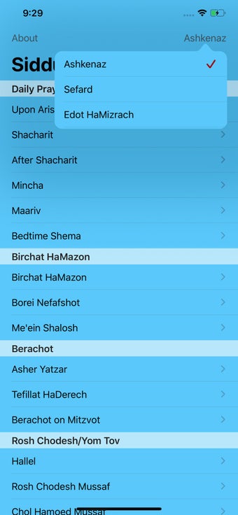 Image 2 for Siddur - Daven Anywhere