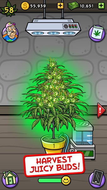 Imagen 2 para Bud Farm: Grass Roots