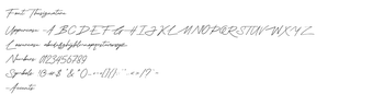 Image 0 for Thesignature