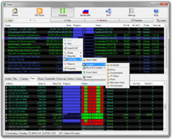 Image 0 for Tixati (64-bit)