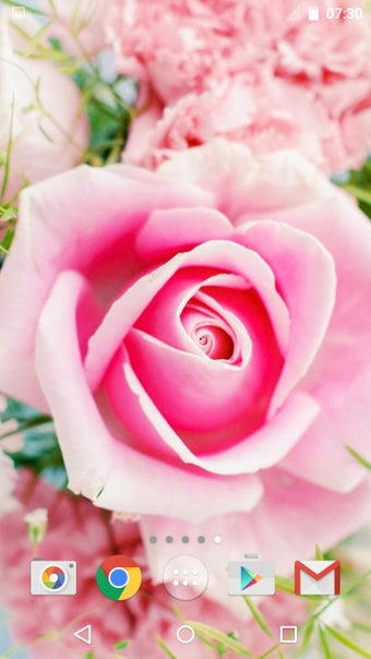 Imagen 4 para Roses