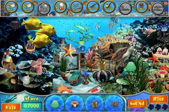 Image 0 for Underwater - Hidden Objec…