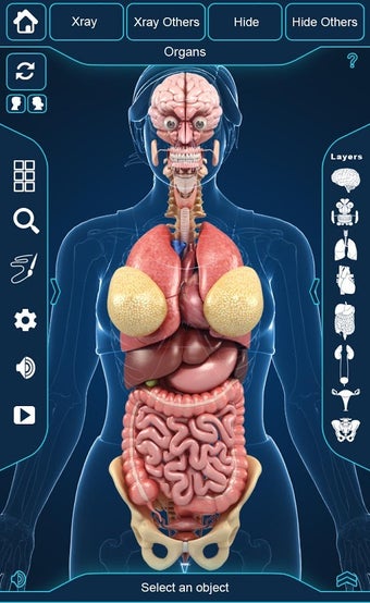 Imagen 3 para My Organs Anatomy