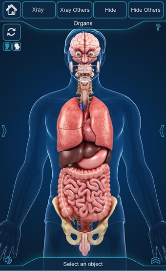Imagen 2 para My Organs Anatomy