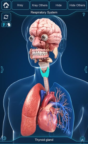 Imagen 0 para My Organs Anatomy