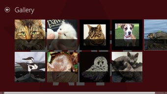 Imagen 0 para Paws App for Windows 8