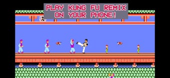Image 1 for Kungfu NES