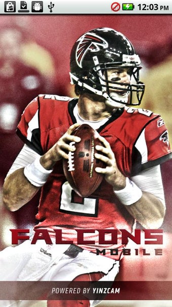 Image 3 for Falcons Mobile 2011
