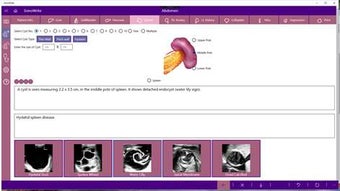 Image 2 for SonoWrite for Windows 10