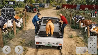 Image 0 for Animal Transport Cargo Ga…