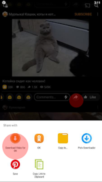 Imagen 1 para Download Video for Odnokl…