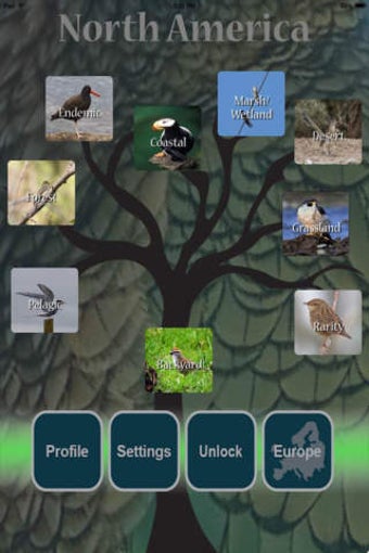Image 0 for Kea: Learn Birds Through …