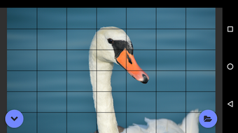 Image 0 for Artist Grid