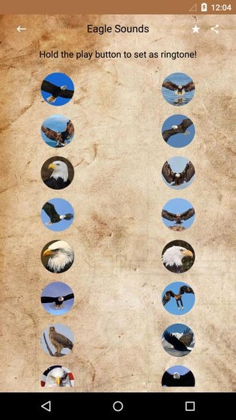 Image 1 for Eagle Sounds and Ringtone