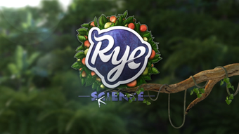 Image 1 for Birds -by Rye Studio