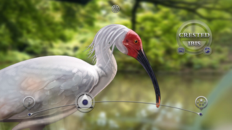 Image 2 for Birds -by Rye Studio