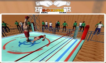 Image 1 for Real Boxing Star for Wind…