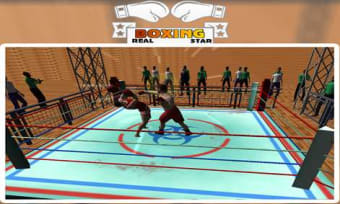 Image 3 for Real Boxing Star for Wind…