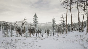 Imagen 0 para Erzurum