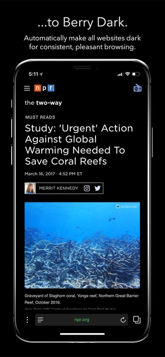 Image 2 for Berry Dark Browser