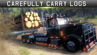 Image 0 for Cargo Dump Truck Driver S…