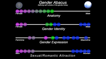 Image 1 for The Gender Abacus