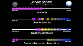 Image 0 for The Gender Abacus