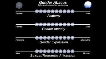 Image 2 for The Gender Abacus