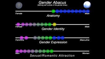 Image 3 for The Gender Abacus