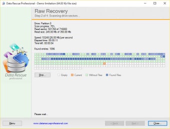 Imagen 2 para DataRescueProfessional