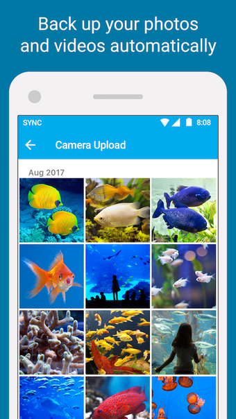 Image 0 for Sync.com - Secure cloud s…