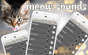 Image 0 for Cat Ringtones  Meow Sound…