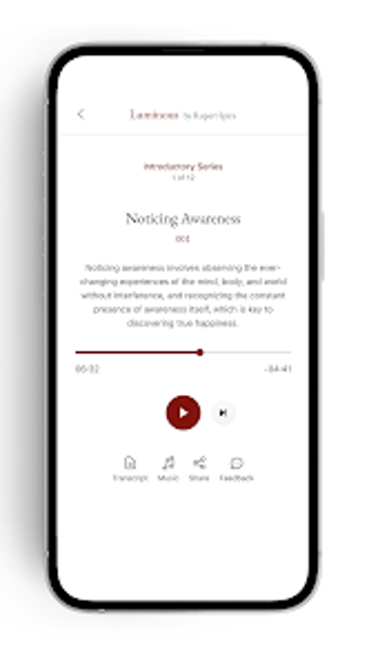 Image 0 for Luminous - Rupert Spira