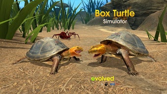 Imagen 0 para Box Turtle Simulator