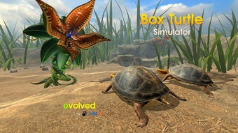 Imagen 1 para Box Turtle Simulator