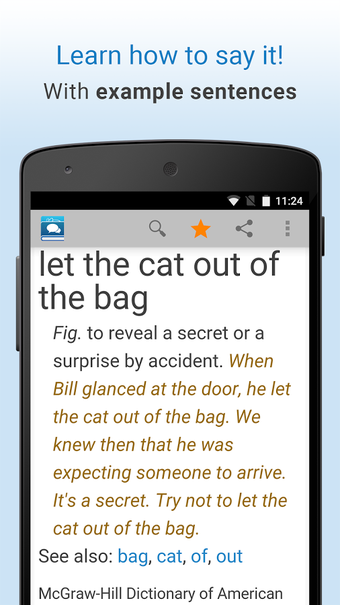 Image 0 for Idioms and Slang Dictiona…