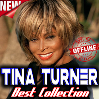 Image 1 for Tina Turner ~ The Best Mu…