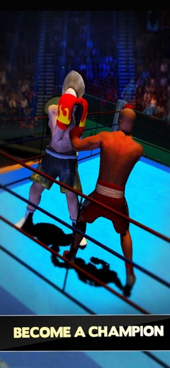 Image 1 for Boxer Games 2017