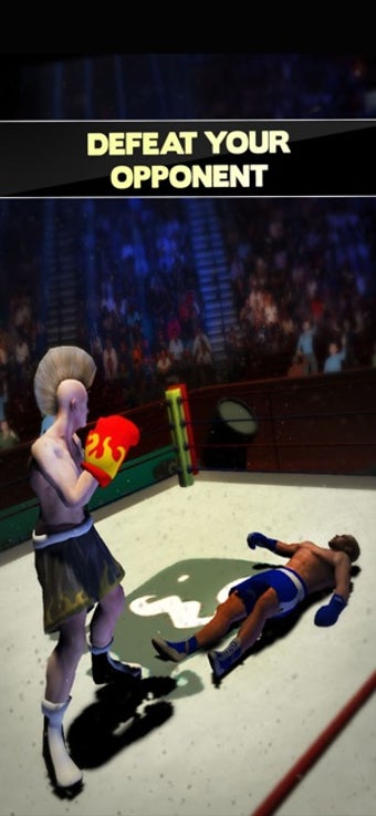Image 3 for Boxer Games 2017