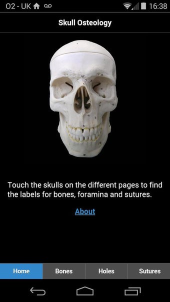 Image 0 for Skull Osteology