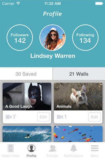 Image 0 for Vidwal: Video Network