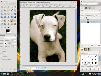 Image 4 for Trisquel Linux (64-bit)