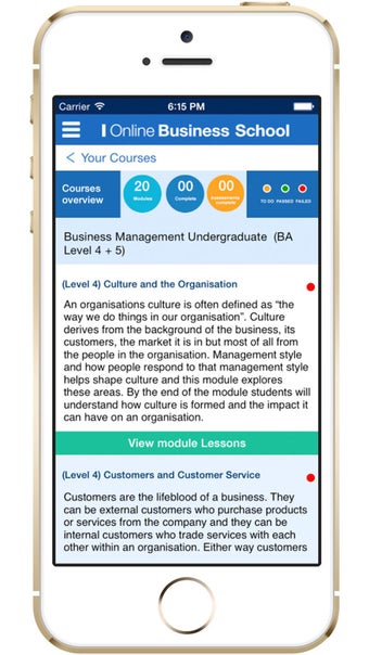 Image 0 for Online Business School